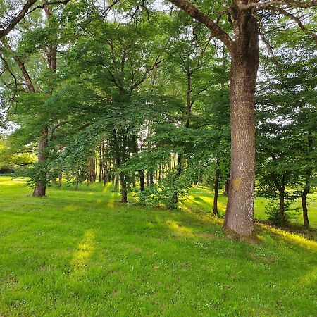 Gite De La Janiere Sainte Luce sur Loire Bagian luar foto