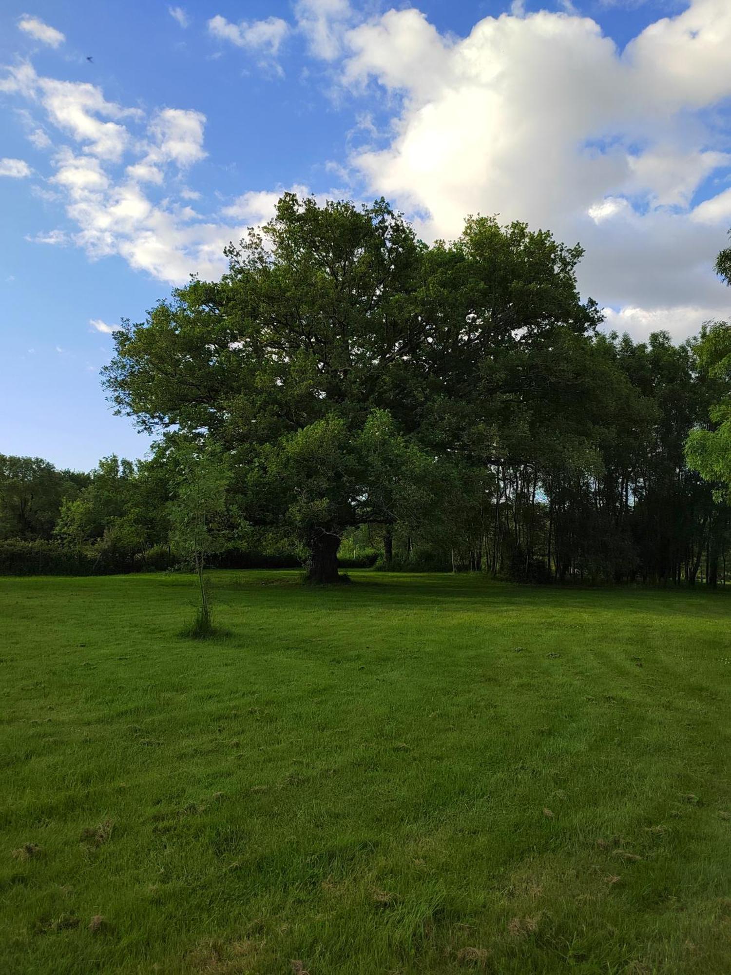 Gite De La Janiere Sainte Luce sur Loire Bagian luar foto