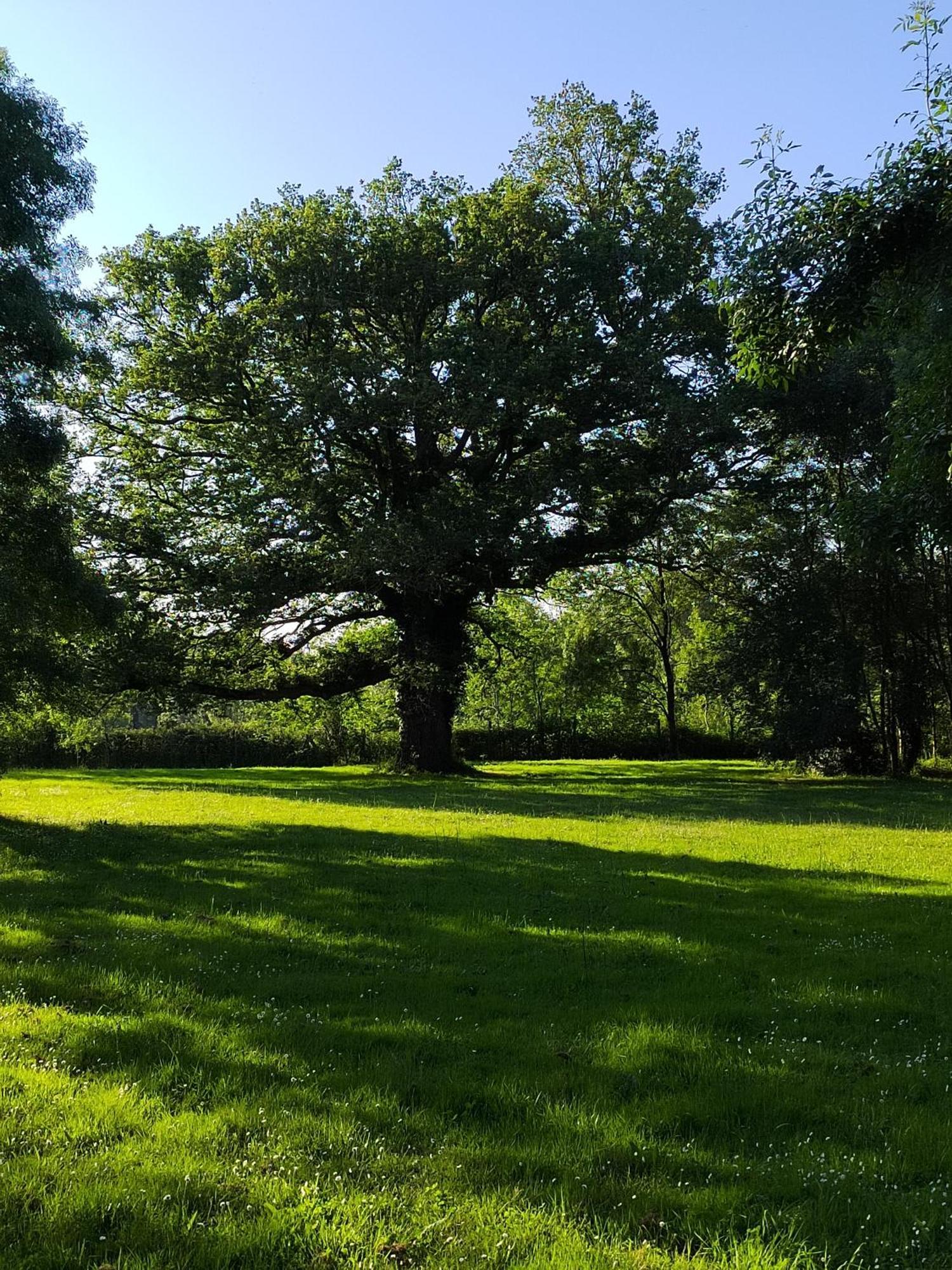 Gite De La Janiere Sainte Luce sur Loire Bagian luar foto