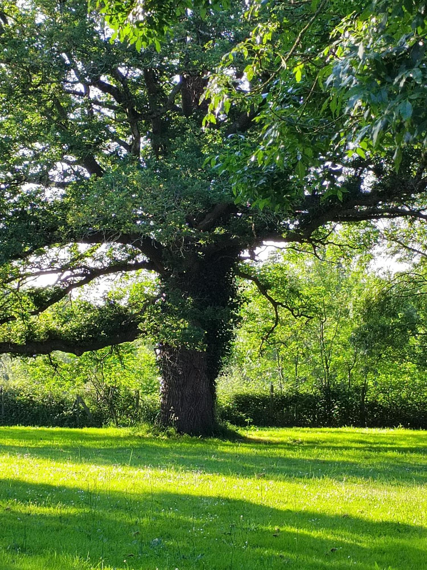 Gite De La Janiere Sainte Luce sur Loire Bagian luar foto